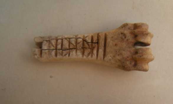 Piece of sheep's bone with tally marks cut on it, Reepham