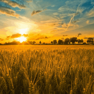 Words Of Light And Hope From Tony Hawes