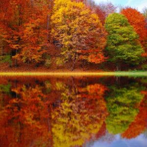 Words Of Light And Hope From Helena Crockford